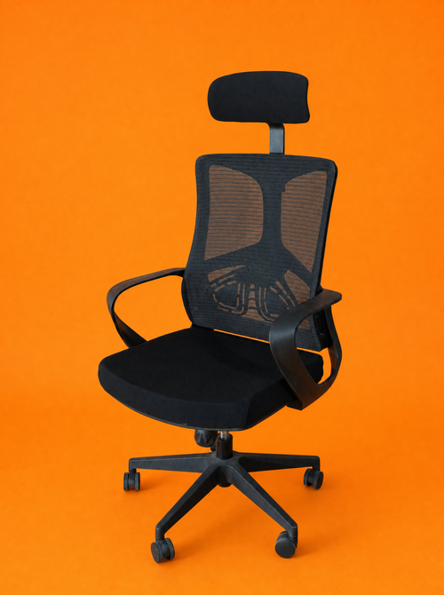 BENZ Executive Ergonomic Chair